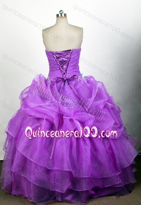 Popular Ball Gown Beading and Pick-ups Quinceanera Dress with Appliques