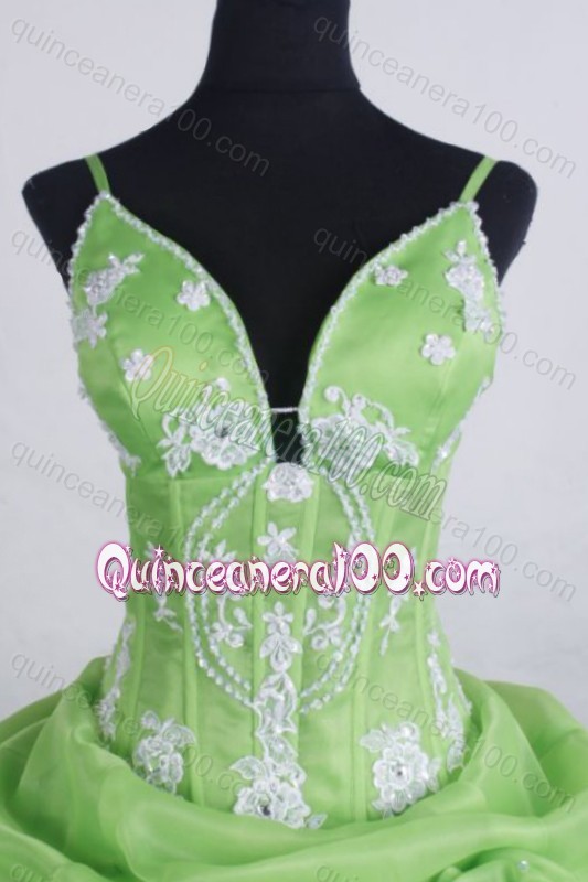 Lovely Ball Gown Spaghetti Straps Appliques And Pick-ups Quinceanera Dresses