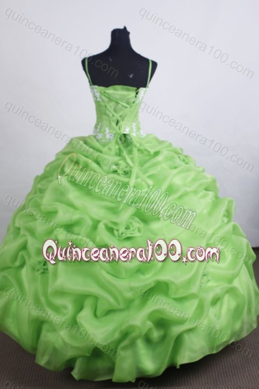 Lovely Ball Gown Spaghetti Straps Appliques And Pick-ups Quinceanera Dresses