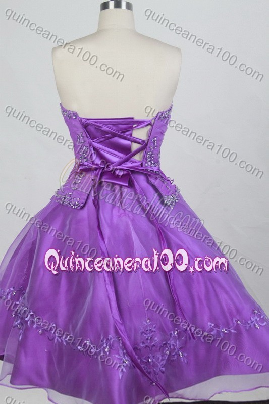 Romantic Purple Ball Gown Appliques Strapless Quinceanera Dresses