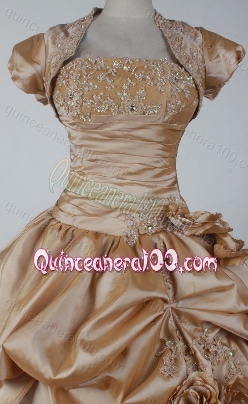 2014 Elegant Ball Gown Strapless Appliques and Pick-ups Quinceanera Dresses