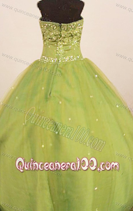 Perfect 2013 Little Girl Pageant Dresses Straps Floor-Length Olive Green Ball Gown