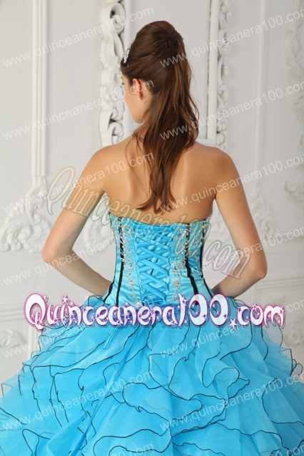 Baby Blue Ball Gown Strapless Floor-length Organza Appliques Quinceanera Dress