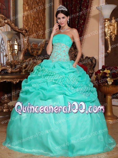 Turquoise Ball Gown Strapless Floor-length Organza Appliques Quinceanera Dress