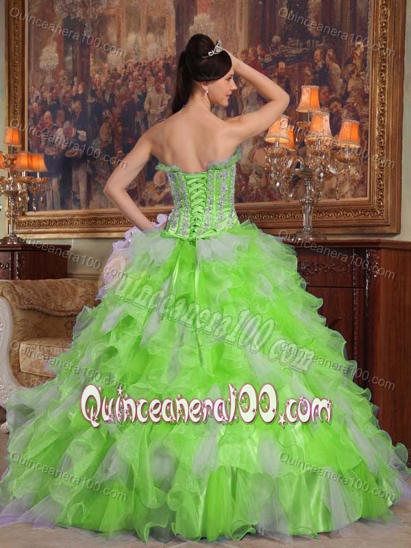 Multi-color Appliques Strapless Appliques Organza Dresses Quinceanera