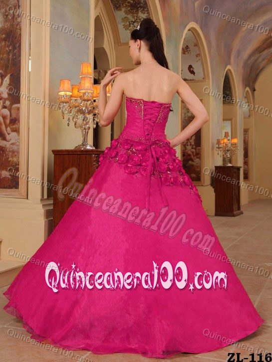 Plus Size Sweetheart Hot Pink Quinceanera Dress with Flowers