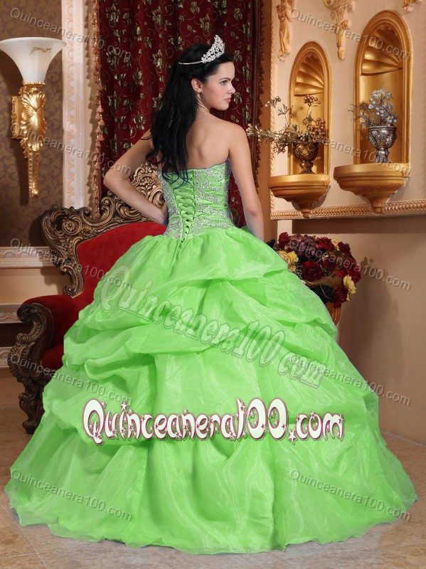 Plus Size Ball Gown Sweetheart Spring Green Sweet Sixteen Dress