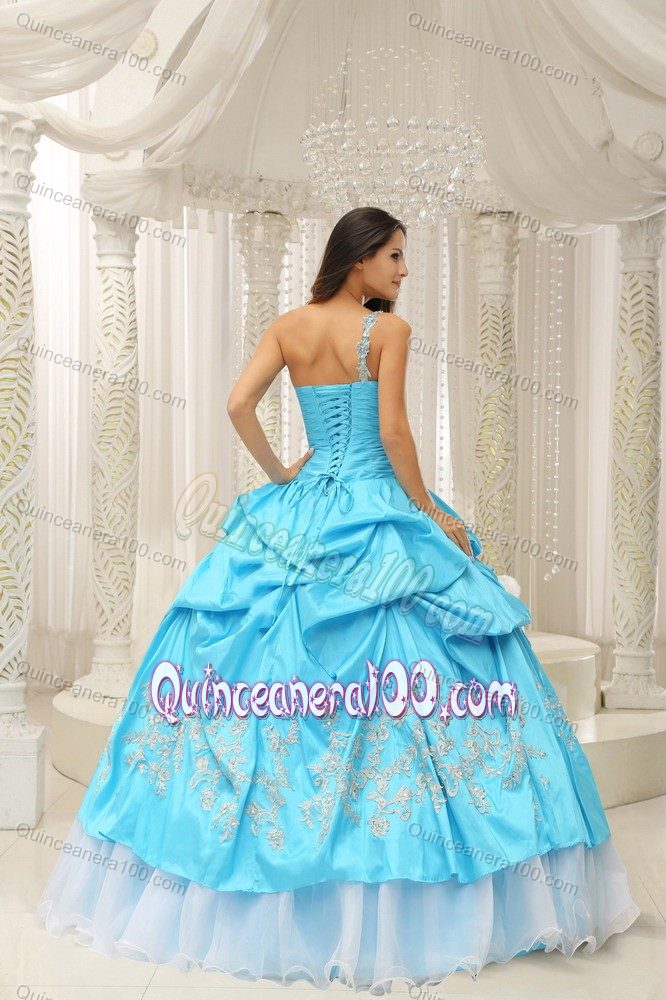 One Shoulder Ruched Bodice Embroidery Pick-ups Dress for Quince