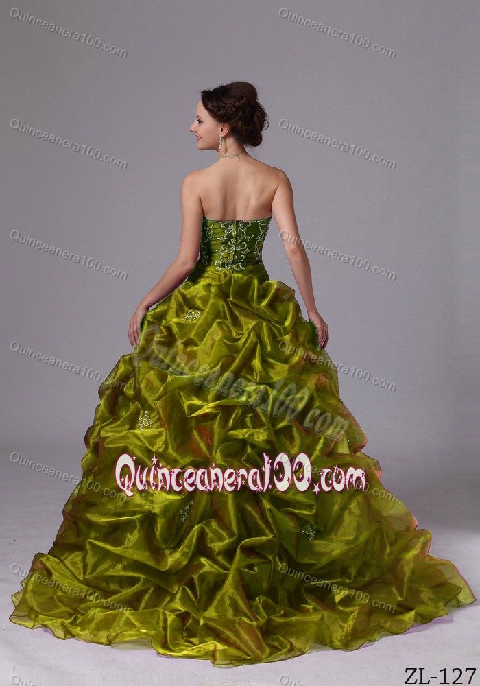 Olive Green Pick-ups Embroidery Sweet 15 Dress with Brush Train