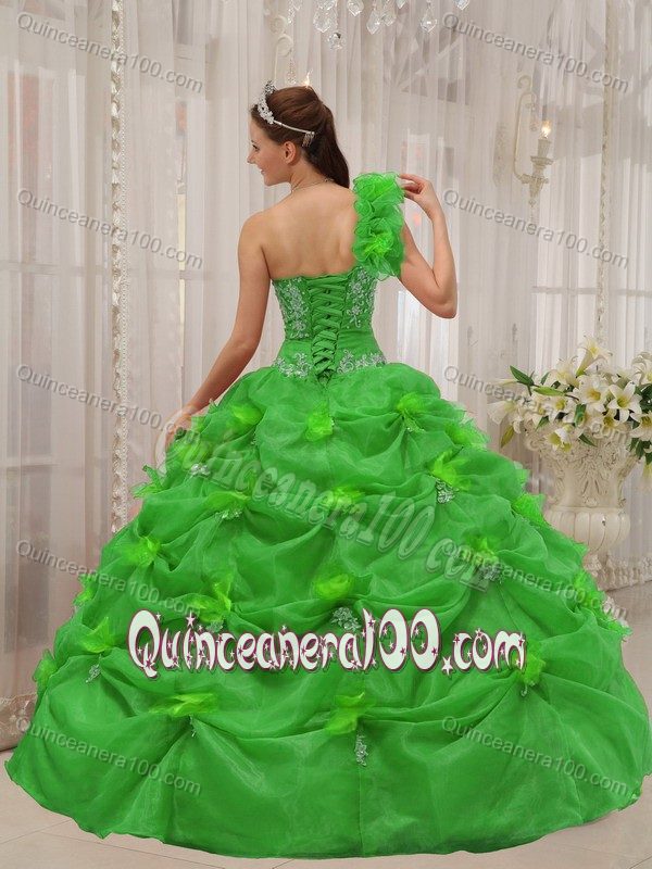 Green One Shoulder Organza Pick-ups Dress for Quince