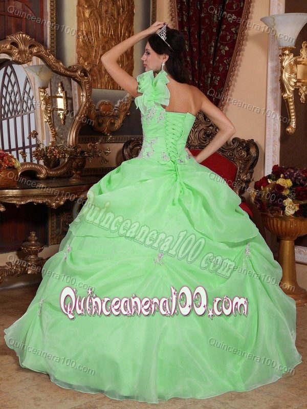 Green One Shoulder Organza Appliques Quinceanera Gown Dresses