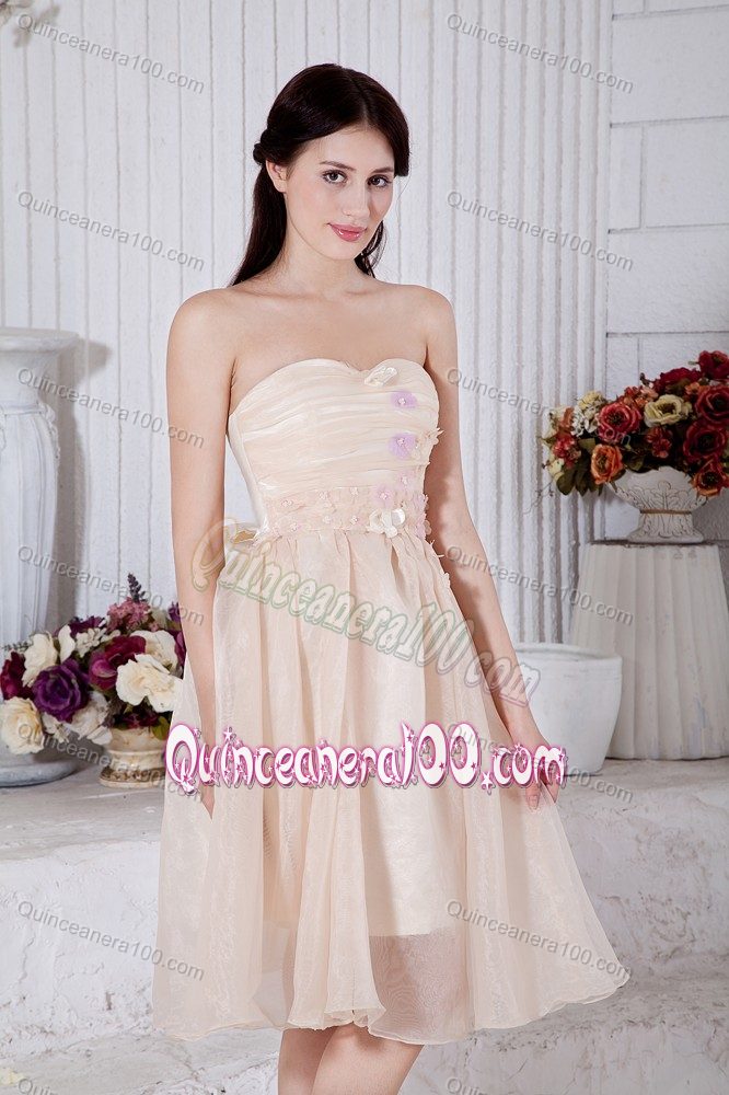 Champagne Pricess Strapless Short Dresses For Damas with Appliques