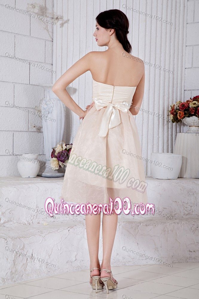 Champagne Pricess Strapless Short Dresses For Damas with Appliques