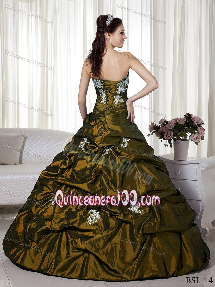 Luxurious Appliques Taffeta Quinceanera Party Dress with Pick-ups