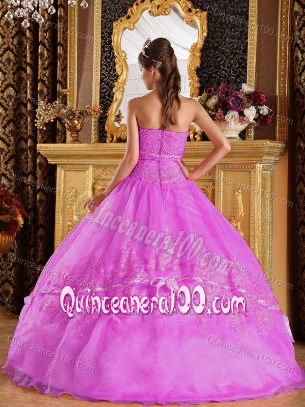 Romantic Strapless Appliques Sweet Sixteen Dresses with Bowknot