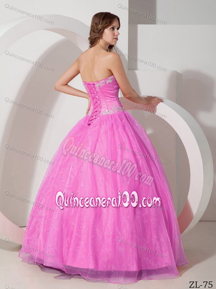 Sweet Organza and Satin Appliques Quinceanera Gowns in Fashion