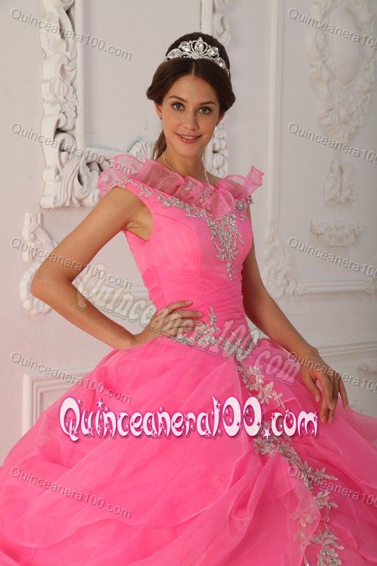 Fabulous Sleeveless Appliques Dress for a Quinceanera in Organza