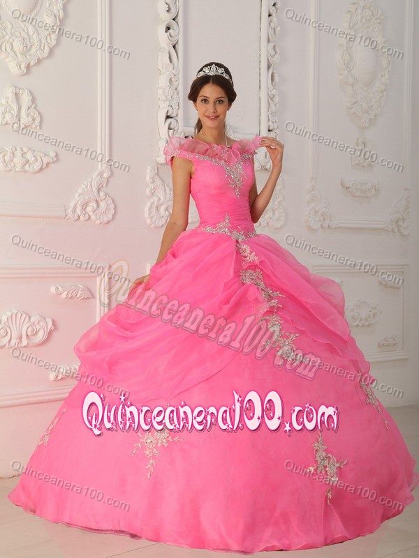 Fabulous Sleeveless Appliques Dress for a Quinceanera in Organza