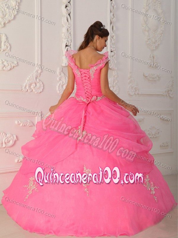 Fabulous Sleeveless Appliques Dress for a Quinceanera in Organza