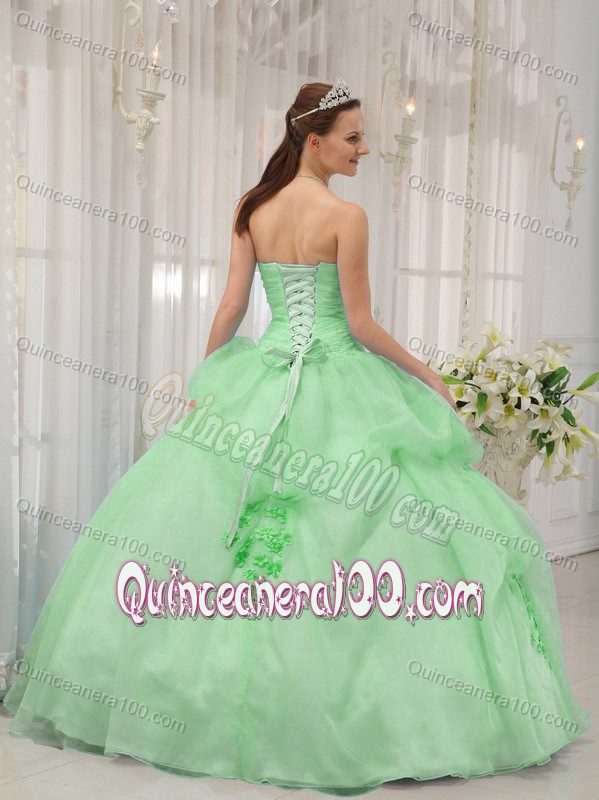 Sweet Apple Green Organza Quince Dress with Floral Embellishment