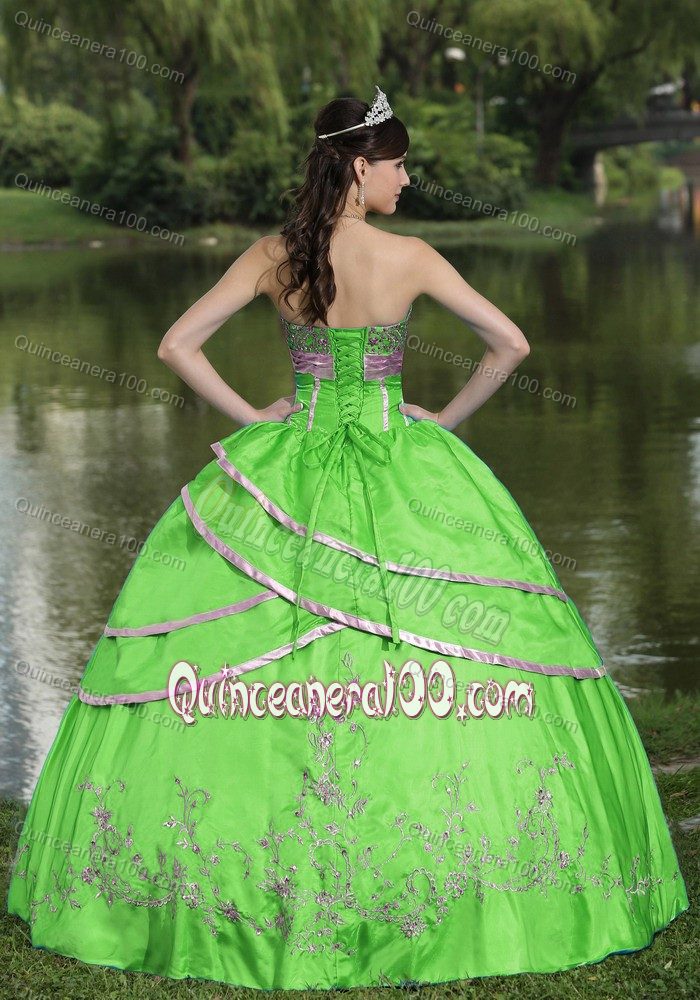 Cheap Spring Green Dress for Sweet 16 with Embroidery Online