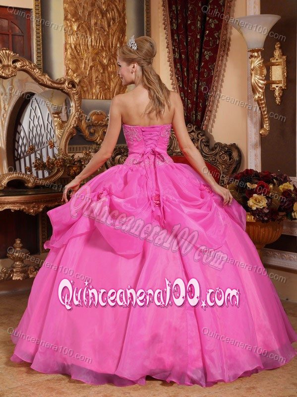 Dresses For a Quince Sweetheart and Appliques in Rose Pink