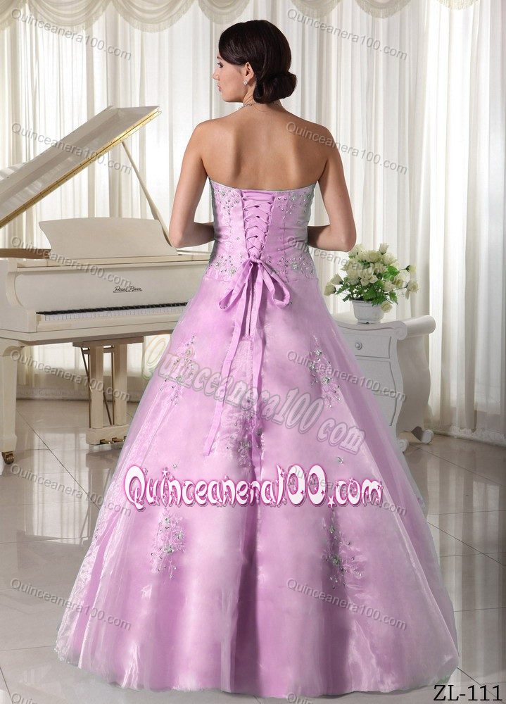 Baby Pink Princess Organza Appliques Beading Quince Gowns