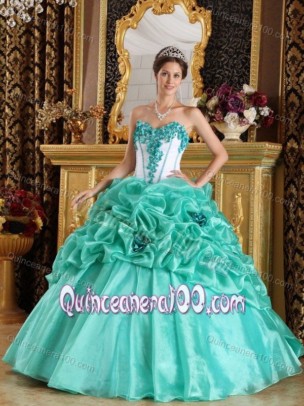 Sweetheart Organza Dress for Quinceaneras with Pick-ups and Flowers