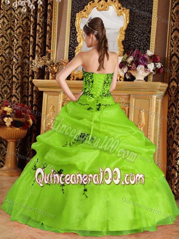 Yellow Green Floor-length Organza Quinceanera Dress with Black Embroidery