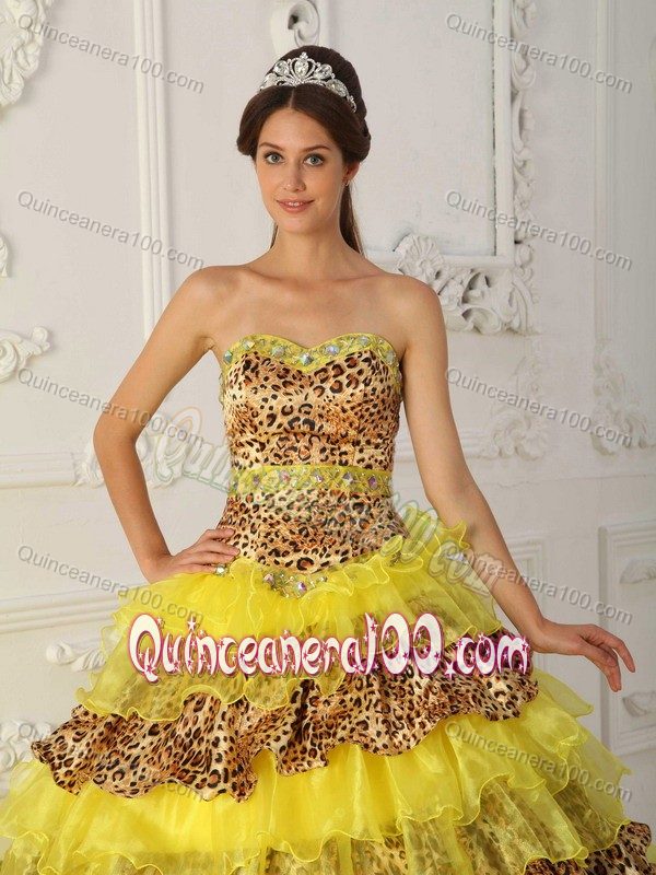 Special Style Leopard Print Multi-color Ruffled Dress for Quince