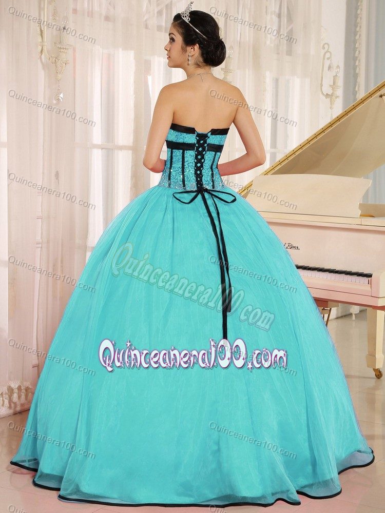 Appliqued Bodice Mint Colored Sweet 15/16 Birthday Dress