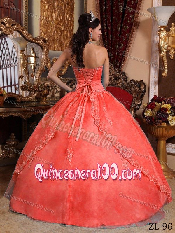 Organza Flamingo Strapless Dress for Sweet 16 with Appliques