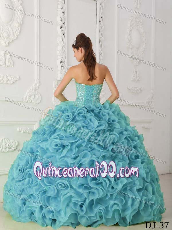 Organza Ball Gown Dresses 15 with Beading and Rolling Flowers