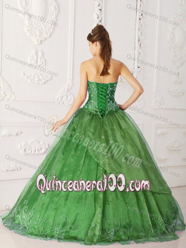 Olive Green Organza A-line Dresses for 15 with Embroidery