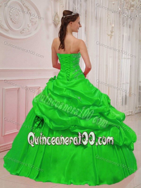 Flowers and Appliques Accent Dresses for A Quinceanera