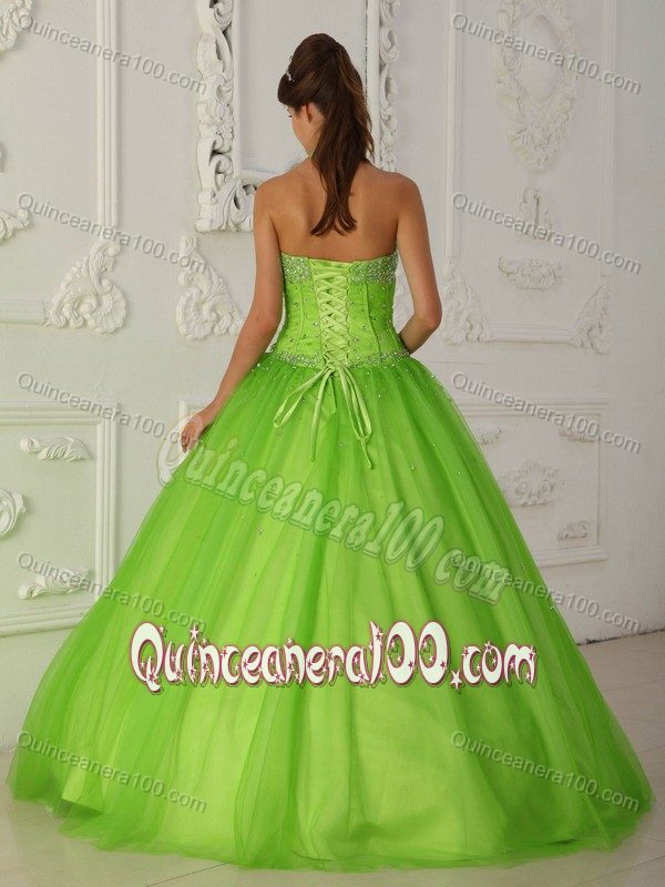 Spring Green Halter A-line Organza Sweet 16 Dress with Appliques