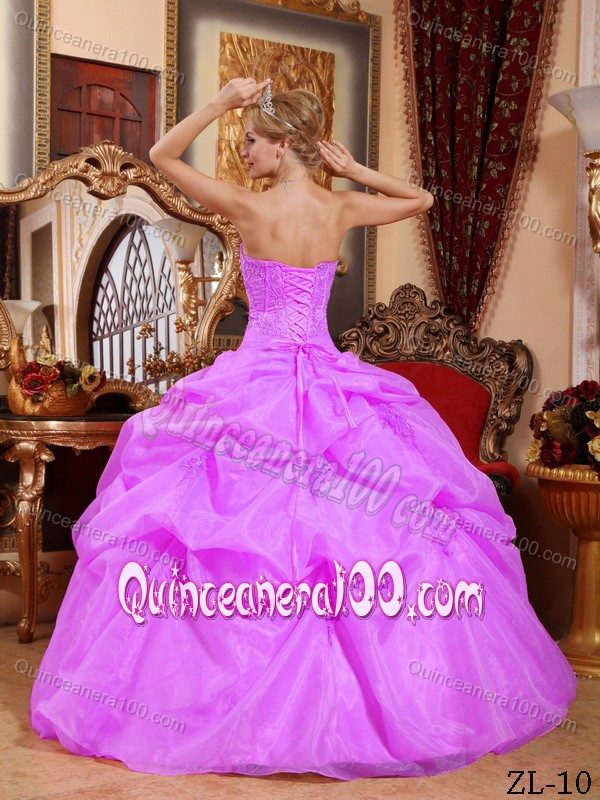 Strapless Appliqued Organza Dress for Sweet 16 with Pick-ups