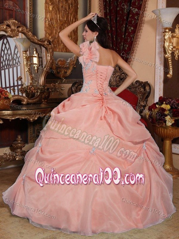 One Shoulder Baby Pink Quinceanera Dress with Organza Layers