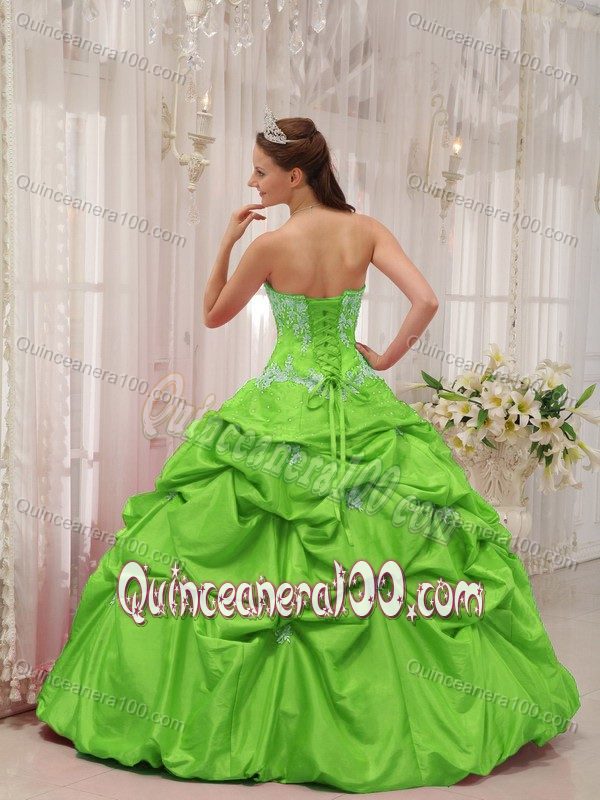 Taffeta Spring Green Sweet 15 Dress with Appliques and Pick-ups