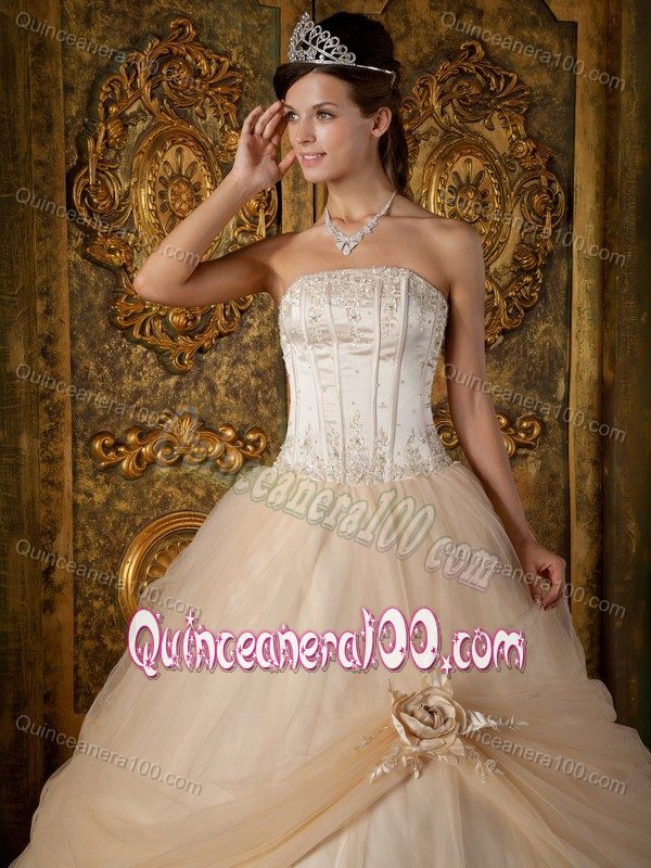 Champagne Quinceanera Gown by Tulle with Appliques and Flower