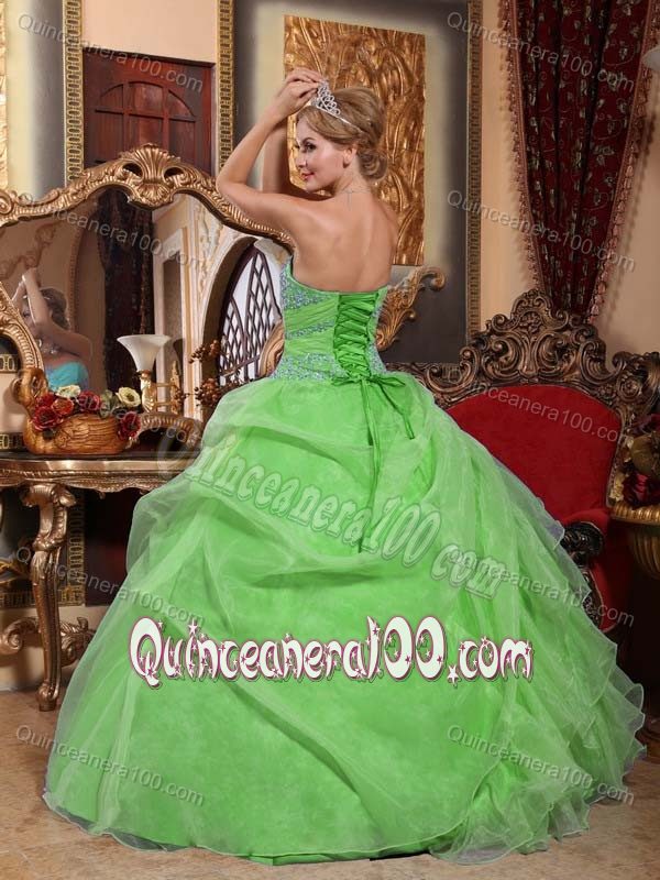 Spring Green Ball Gown Floor-length Quinceanera Dresses