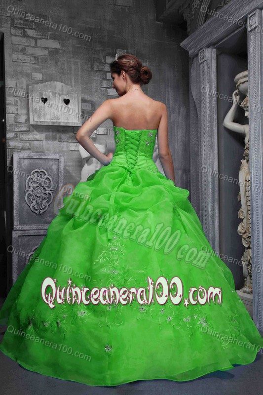 Green Taffeta and Organza Appliques Quinceanera Gown Dresses