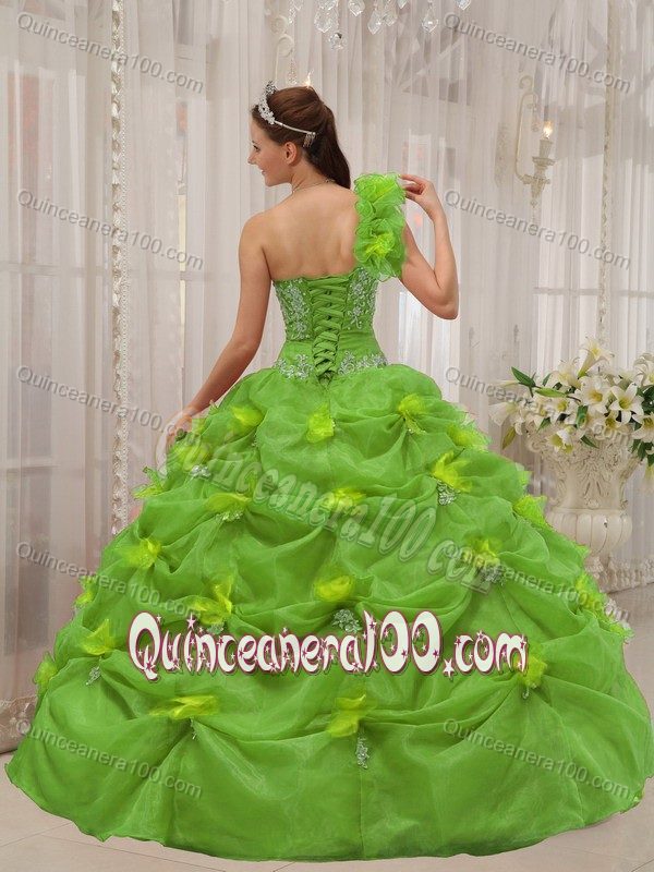 Green One Shoulder Appliques Organza Quince Dresses with Pick-ups