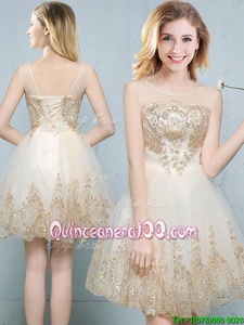 Best Champagne Dama Dress for Quinceanera Prom and Party and Wedding Party and For withAppliques Scoop Sleeveless Lace Up