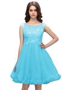 Enchanting Knee Length A-line Sleeveless Baby Blue Mother of Groom Dress Zipper