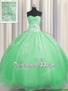 Zipper Up Spring Green Organza Zipper Quinceanera Dress Sleeveless Floor Length Beading and Appliques