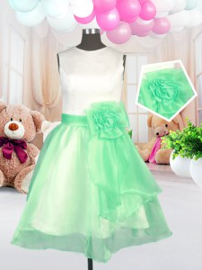 Vintage Scoop Sleeveless Zipper Flower Girl Dresses Apple Green Organza