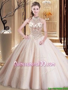 Sexy Pink Halter Top Lace Up Beading Vestidos de Quinceanera Brush Train Sleeveless