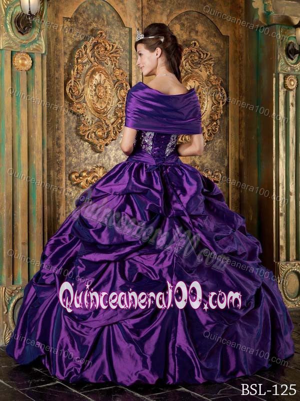 Eggplant Purple Pick-ups Taffeta Embroidery Quince Dress - Quinceanera 100