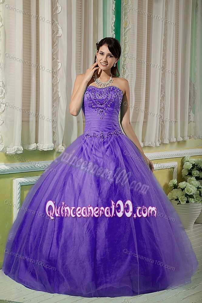 Purple Strapless Beading Ruched Bodice Dress for Quince Plus ...